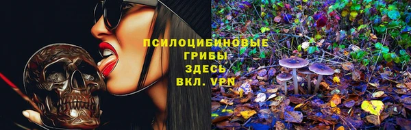ГАЛЛЮЦИНОГЕННЫЕ ГРИБЫ Володарск