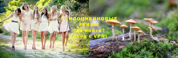 ГАЛЛЮЦИНОГЕННЫЕ ГРИБЫ Володарск